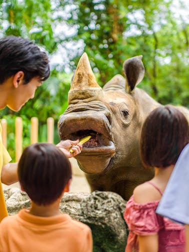 Tour to Singapore Zoo